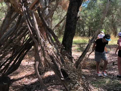 Swan Valley Adventure Centre Bush Craft