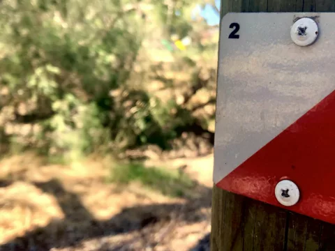 Swan Valley Adventure Centre Orienteering